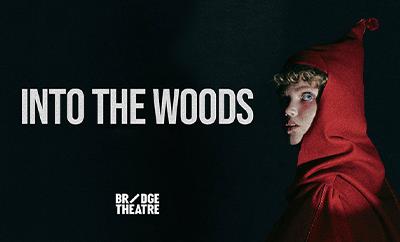 Into the Woods at Bridge Theatre - Discounted West End tickets