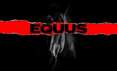 Equus at Menier Chocolate Factory - Discounted West End tickets